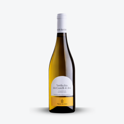 Verdicchio Superiore "Borgognotta" 2023 - Tenute San Sisto