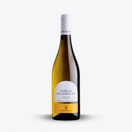 Verdicchio Superiore "Borgognotta" 2023 - Tenute San Sisto