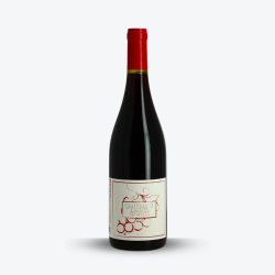 Gamay à Petits Grains 2018 - Jean-Yves Sonnery