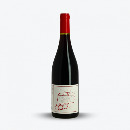 Gamay à Petits Grains 2018 - Jean-Yves Sonnery