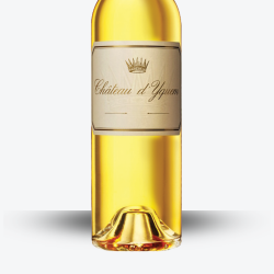 Salmanazar Château d'Yquem 2016 - Etiquette
