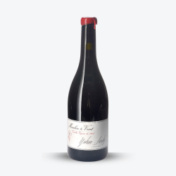 Vielles Vignes de 1903 2023 - Domaine Yohan Lardy