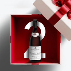 Nuits-Saint-Georges 2019 -...