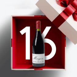 Marcel Lapierre Morgon 2024