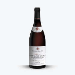 Nuits-Saint-Georges 2019 - Bouchard Père et Fils