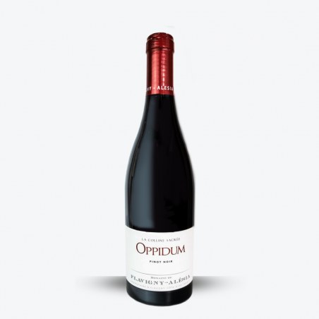 Oppidum 2023 - Domaine Flavigny Alesia