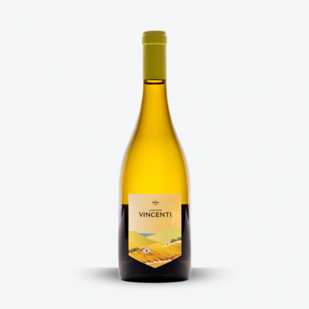 Prumessa Blanc 2024 - Domaine Vincenti