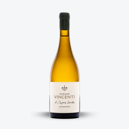 A Capra Sorda 2024 - Domaine Vincenti