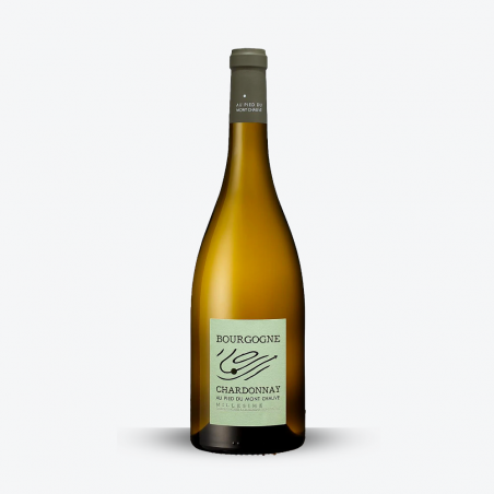 Bourgogne Chardonnay 2022 - Domaine Au Pied Du Mont Chauve