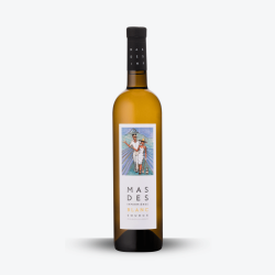 Source Blanc 2025 - Mas des Infermières