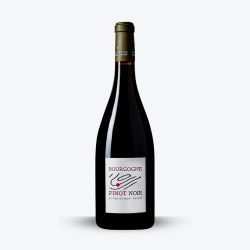 Bourgogne Pinot Noir 2022 - Domaine Au Pied Du Mont Chauve