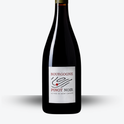Bourgogne Pinot Noir 2022 - Domaine Au Pied Du Mont Chauve - Etiquette