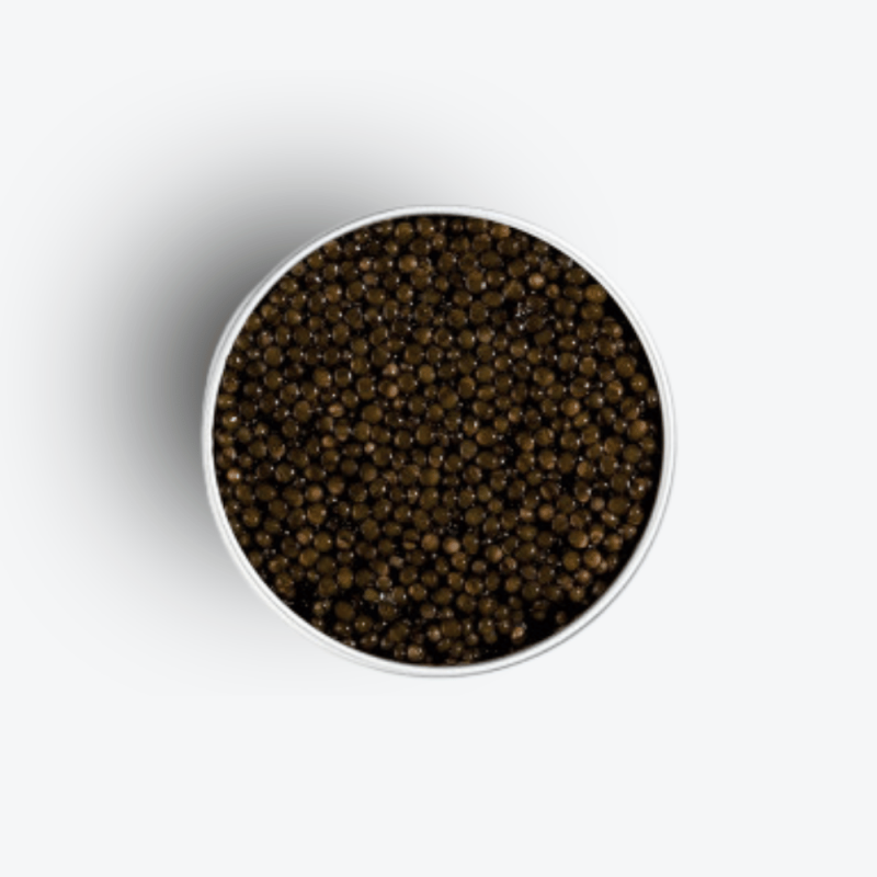 Caviar de Neuvic Osciètre Réserve 250g - étiquette