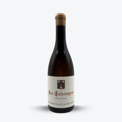 Muscadet Sèvre et Maine "Les Enfermures" 2023 – Domaine Lucas Salmon