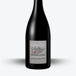 Bourgogne Hautes Côtes-de-Beaune 2022 - Domaine Au Pied Du Mont Chauve - Etiquette