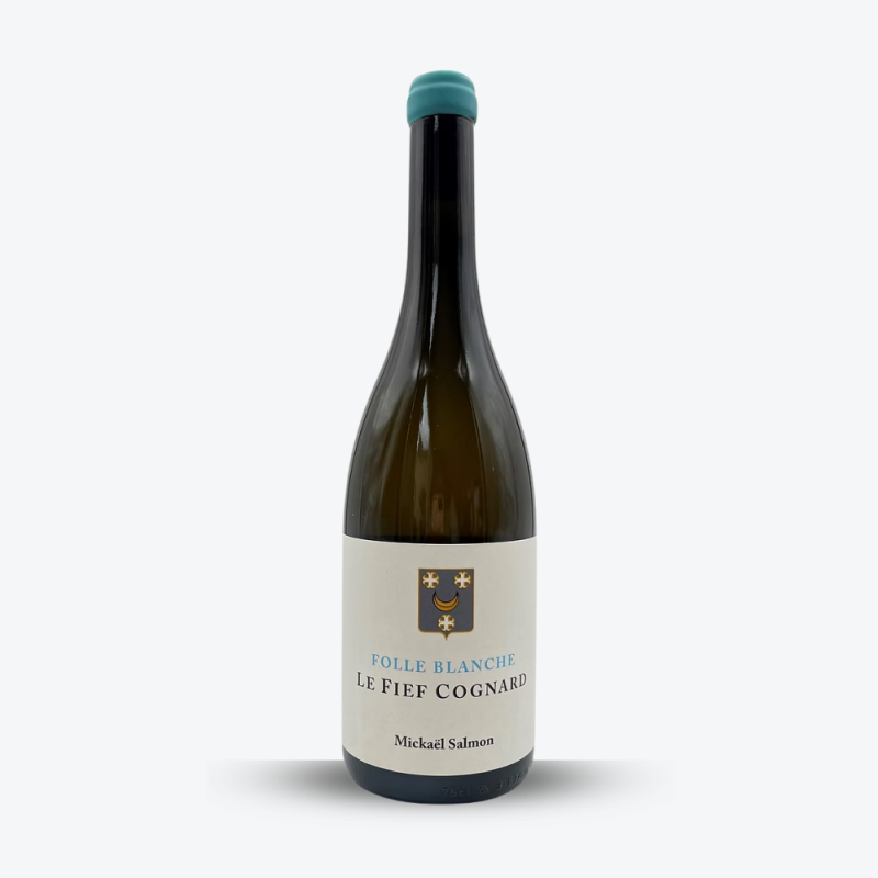 Folle Blanche "Le Fief Cognard" 2023 – Domaine Lucas Salmon