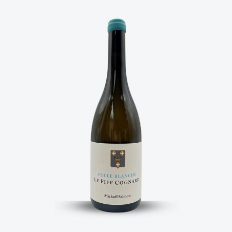 Folle Blanche "Le Fief Cognard" 2023 – Domaine Lucas Salmon