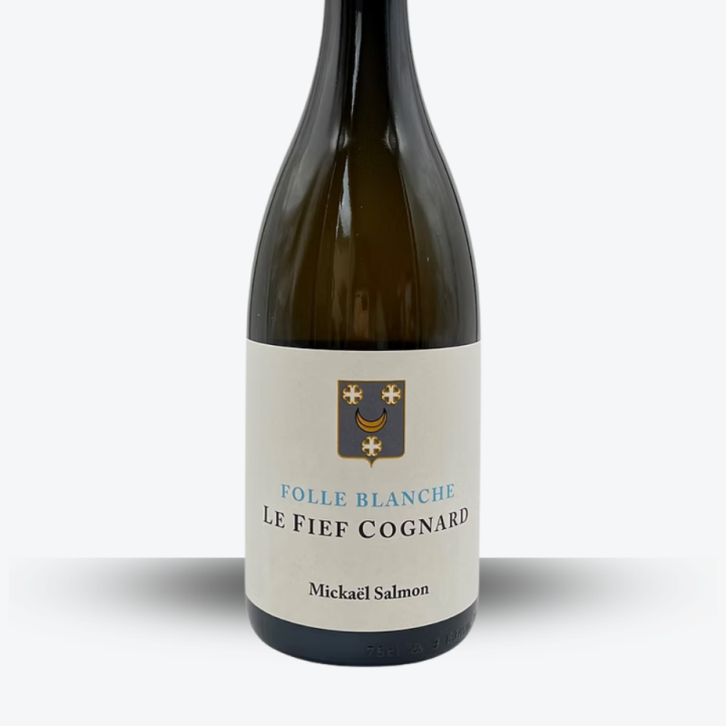 Folle Blanche "Le Fief Cognard" 2023 – Domaine Lucas Salmon - étiquette