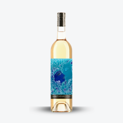 Certitude Rosé 2024 - Domaine Fontaine du Clos