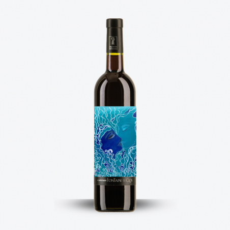 Certitude Rouge 2024 - Domaine Fontaine du Clos