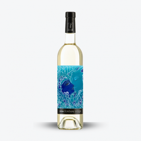 Certitude Blanc 2025 - Domaine Fontaine du Clos