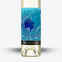 Certitude Blanc 2024 - Domaine Fontaine du Clos - étiquette