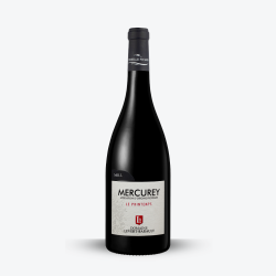 Mercurey Village "Le Printemps" 2020 Rouge - Domaine Levert Barault
