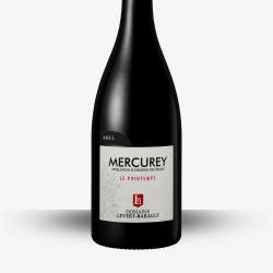 Mercurey Village "Le Printemps" 2020 Rouge - Domaine Levert Barault - Etiquette