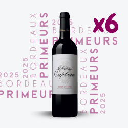 Primeurs - Château Calon Ségur 2025 - 6x75cl