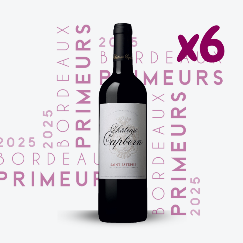 Primeurs - Château Calon Ségur 2025 - 6x75cl
