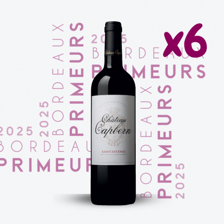 Primeurs - Château Calon Ségur 2025 - 6x75cl