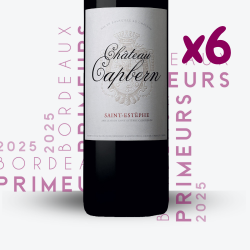 Primeurs - Château Calon Ségur 2025 - 6x75cl - étiquette