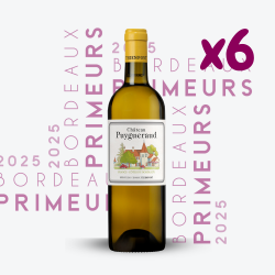 Primeurs - Château Puygueraud Blanc 2025 - 6x75cl