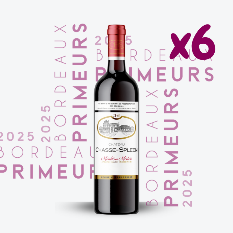 Primeurs - Château Chasse-Spleen 2025 - 6x75cl