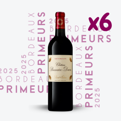 Primeurs - Château Branaire Ducru 2025 - 6x75cl