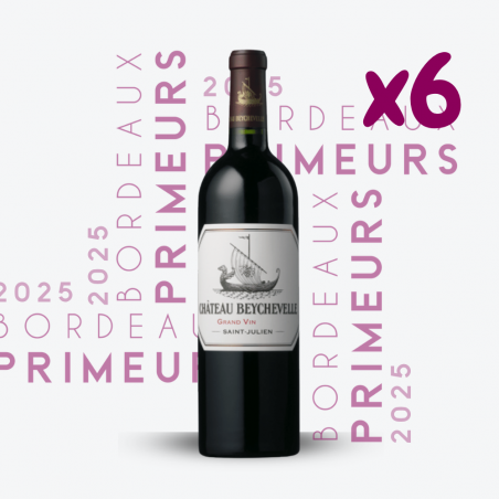 Primeurs - Château Beychevelle 2025 - 6x75cl