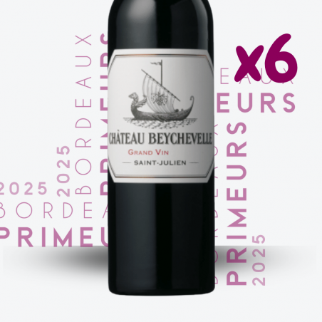 Primeurs - Château Beychevelle 2025 - 6x75cl - etiquette