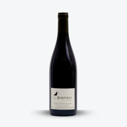 Les Sorcières Rouge 2025 - Domaine du Clos des Fées