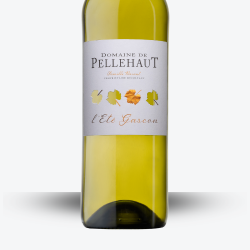 l'Eté Gascon Blanc 2025 - Domaine de Pellehaut - Etiquette
