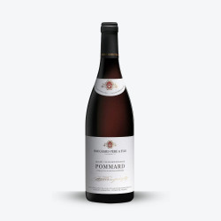 Pommard 2022 - Bouchard Père et Fils