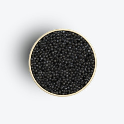 Caviar Osciètre 100gr - Caviar Kasnodar zoom