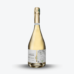 Champagne A.Bergère Les Vignes de Nuit