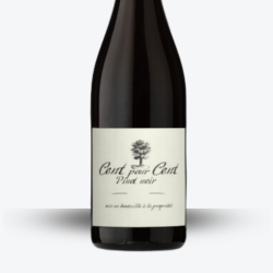 Cent pour Cent Pinot Noir 2023 - Domaine du Peyra - Etiquette