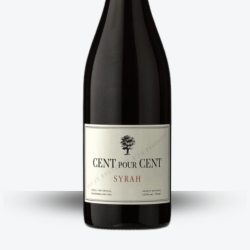 Cent pour Cent Syrah 2023 - Domaine du Peyra - Etiquette