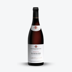 Pommard 2019 - Bouchard Père et Fils