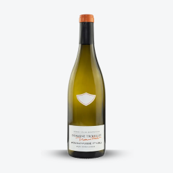 Aux Chailloux 2023 - Domaine Trouillet