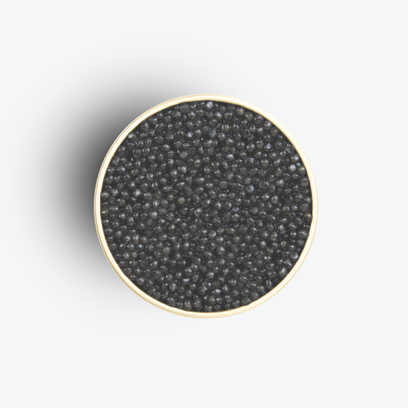 Caviar Persicus Black Edition 100g - Caviar Kasnodar zoom