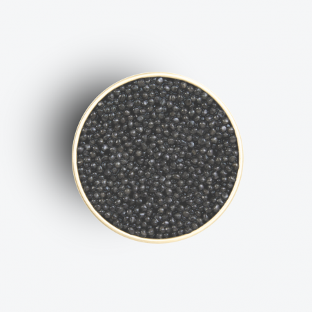 Caviar Persicus Black Edition 100g - Caviar Kasnodar zoom