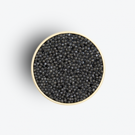 Caviar Baeri White Edition 100g - Caviar Kasnodar