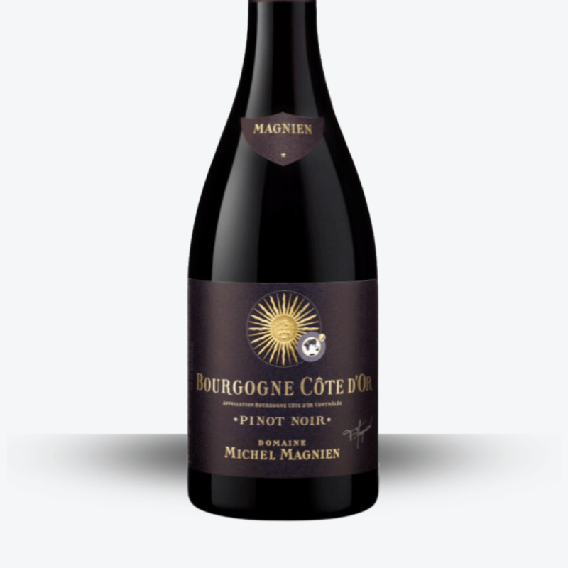 Bourgogne Côte d’Or 2021 - Michel Magnien - Etiquette
